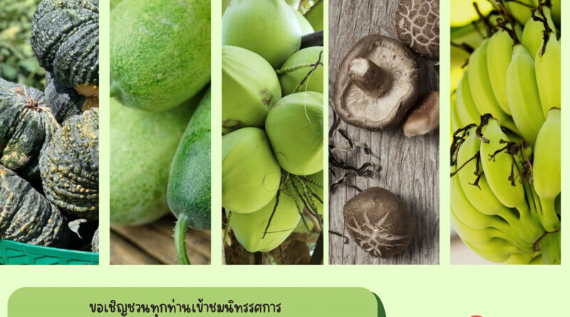 ซะป๊ะของดีดอยสะเก็ด ปี 2565