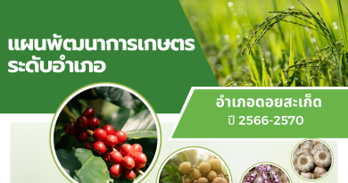 แผนพัฒนาการเกษตรระดับอำเภอ อำเภอดอยสะเก็ด ปี 2566-2570