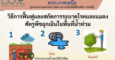 วิธีการฟื้นฟูและสกัดการระบาดโรคและแมลงศัตรูพืชฉุกเฉินในพื้นที่น้ำท่วม