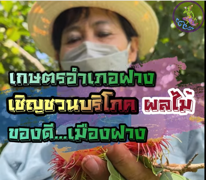 เชิญชวนบริโภคผลไม้ ของดีเมืองฝาง