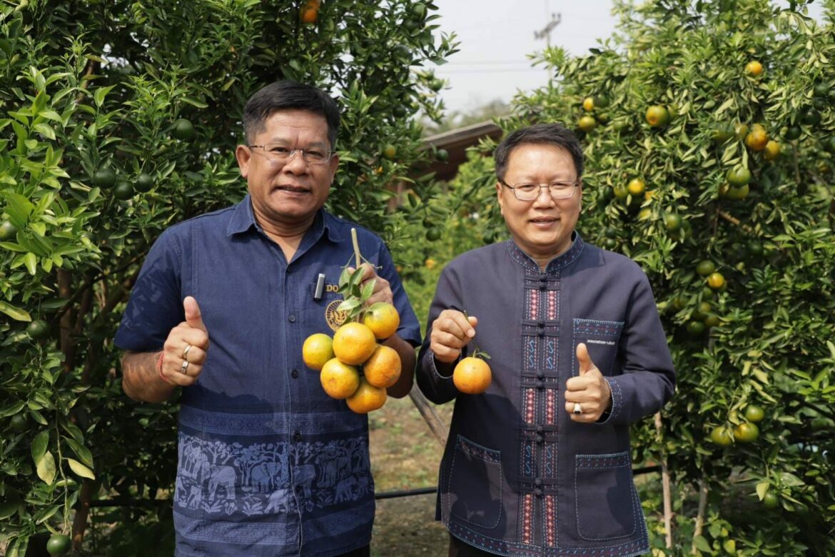 “กรมส่งเสริมการเกษตร รณรงค์เกษตรกรร่วมใจผลิตส้มปลอดภัย “Safe Use Safe Orange”