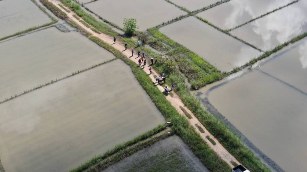 สำนักงานเกษตรอำเภอฝาง ตรวจสอบพื้นที่เกษตรที่ได้รับผลกระทบจากพายุวิภา