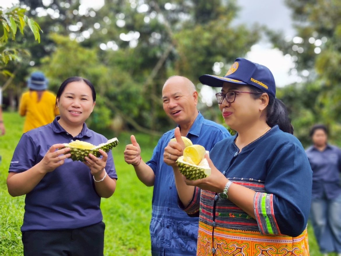 สำนักงานเกษตรอำเภอฝาง นำสื่อมวลชนประชาสัมพันธ์ทุเรียนสายน้ำแร่ ตำบลโป่งน้ำร้อน